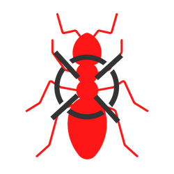 Ant Pest Inspections & Treatment Perth