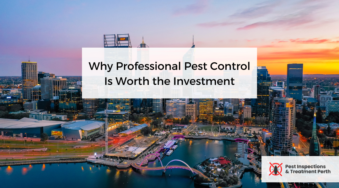 Why Professional Pest Control Is Worth the Investment